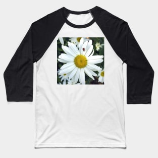 White Daisy Flower and Ladybug Baseball T-Shirt